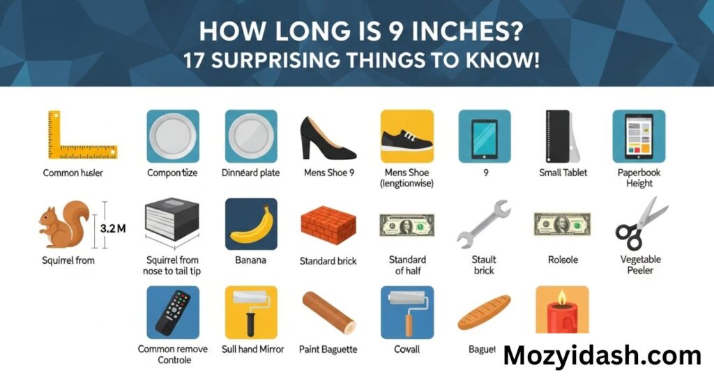 how-long-is-9-inches-17-surprising-things-to-know