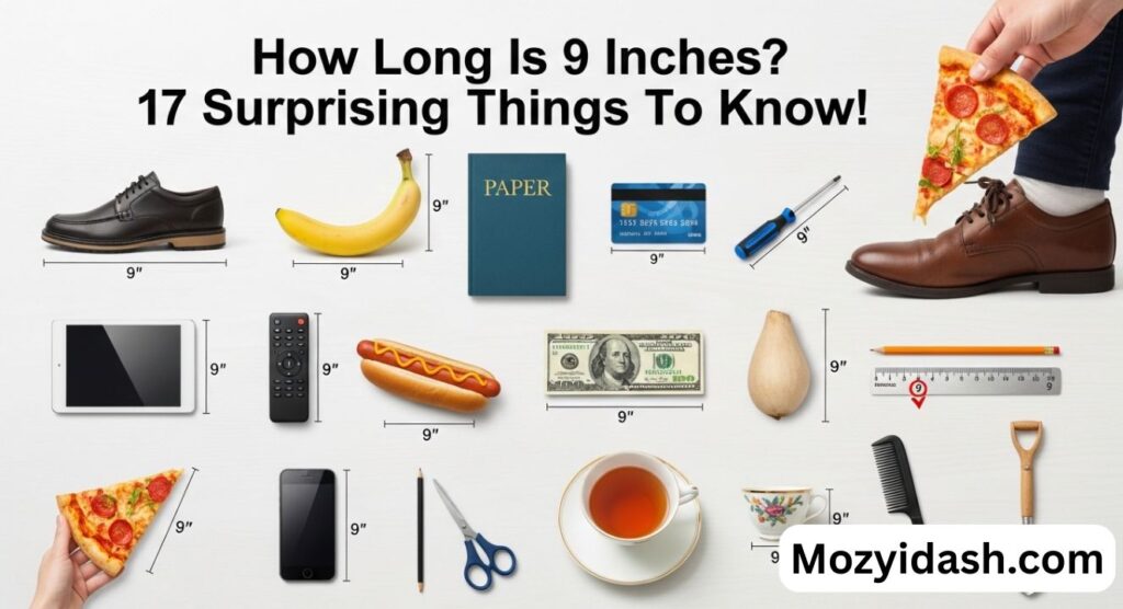 how-long-is-9-inches-17-surprising-things-to-know
