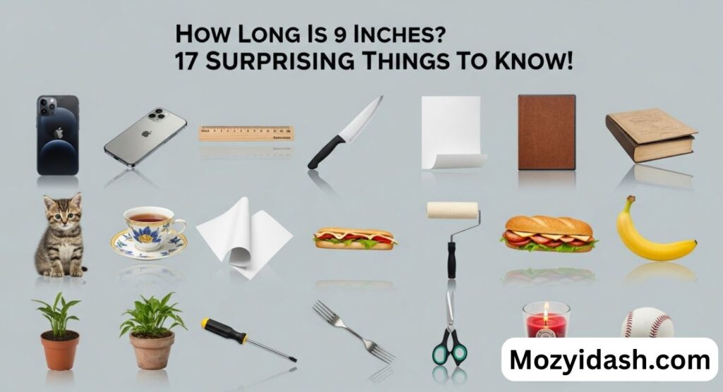 how-long-is-9-inches-17-surprising-things-to-know