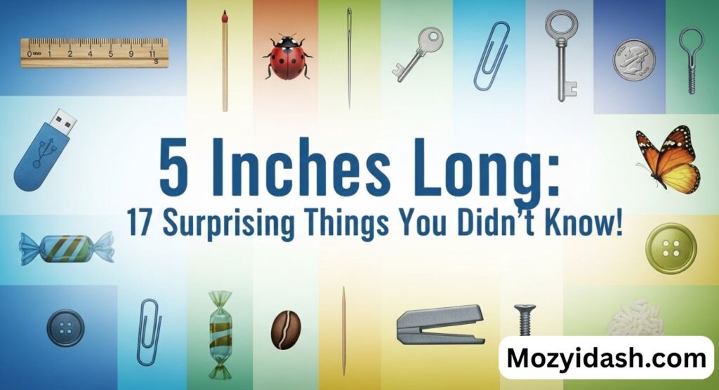 5 Inches Long: 17 Surprising Things You Didn’t Know!