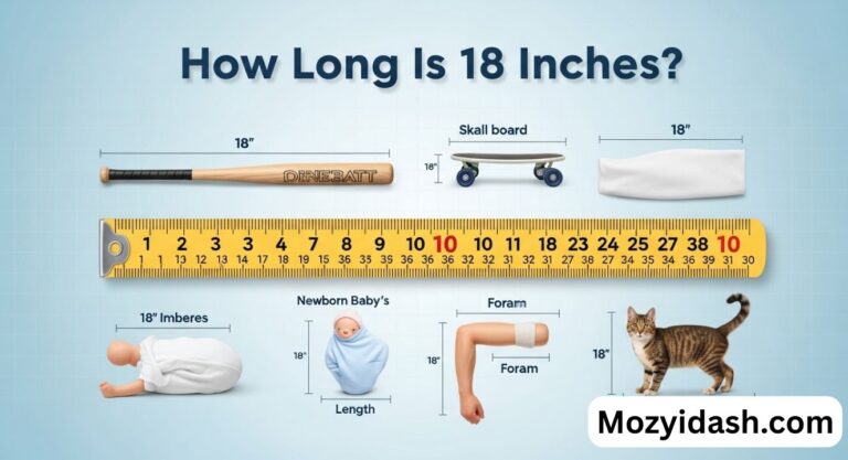 How Long Is 18 Inches? 17 Things You Didn’t Know!