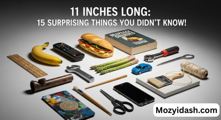 11 Inches Long: 15 Surprising Things You Didn’t Know!