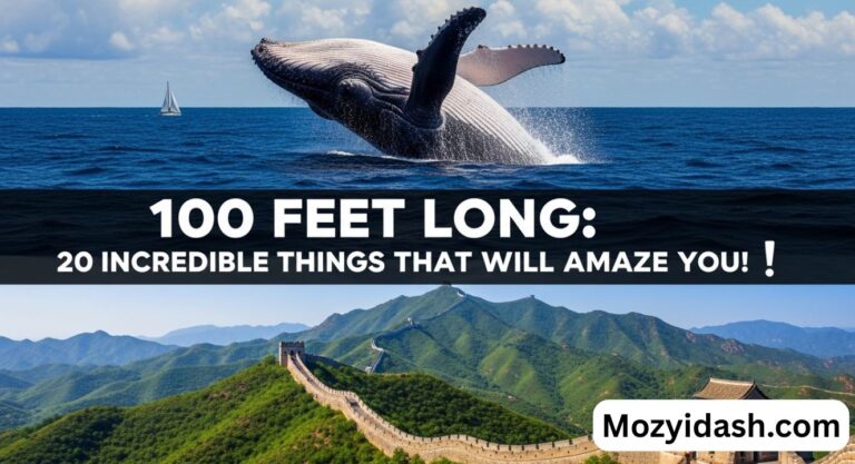 100 Feet Long: 20 Incredible Things That Will Amaze You!