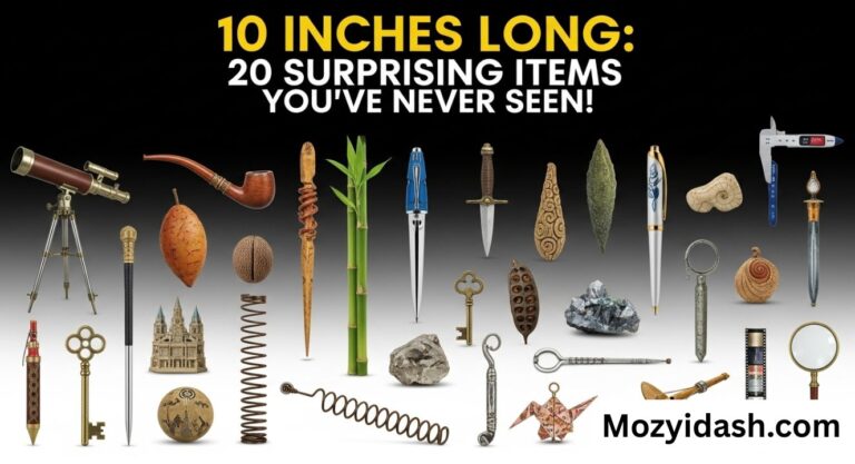 10 Inches Long: 20 Surprising Items You’ve Never Seen!